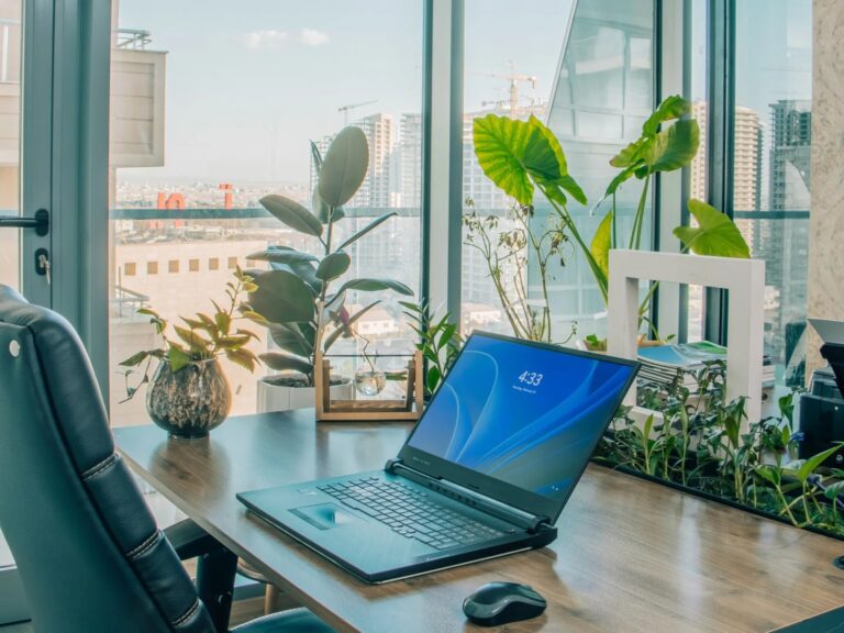 Philodendron Office Plants: 15% Productivity Boost + Air Purification